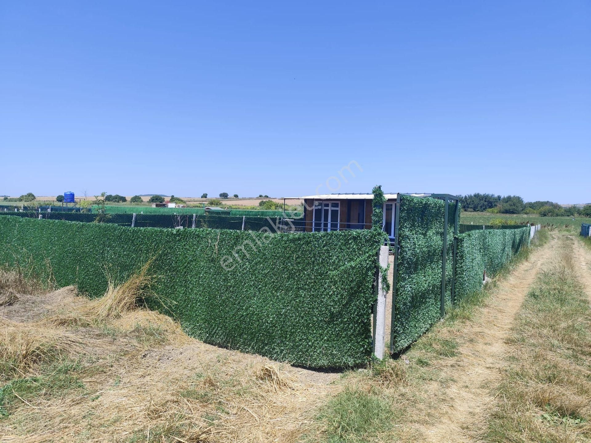 Kestanelikte İhtiyaçyan Acil Satılık Tarla - Görsel 19