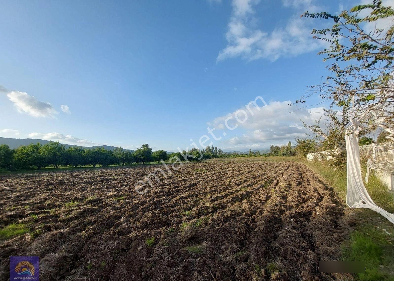 Muğla Ortaca, Dalaklı 2.000 M2, 400 M2 İnşaat Hakkı Olan Satılık Konut İmarlı Arsa - Görsel 2