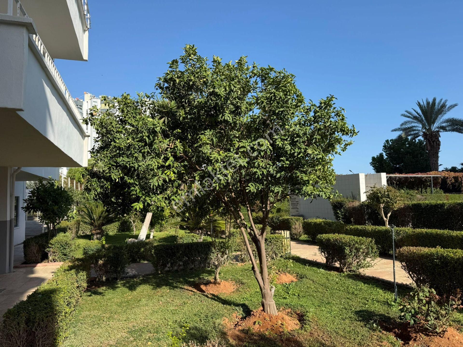 Bolkar Emlak’tan Tece’de Deniz Manzaralı Havuzlu Sitede 2+1 Kiralık Ferah Daire - Görsel 5