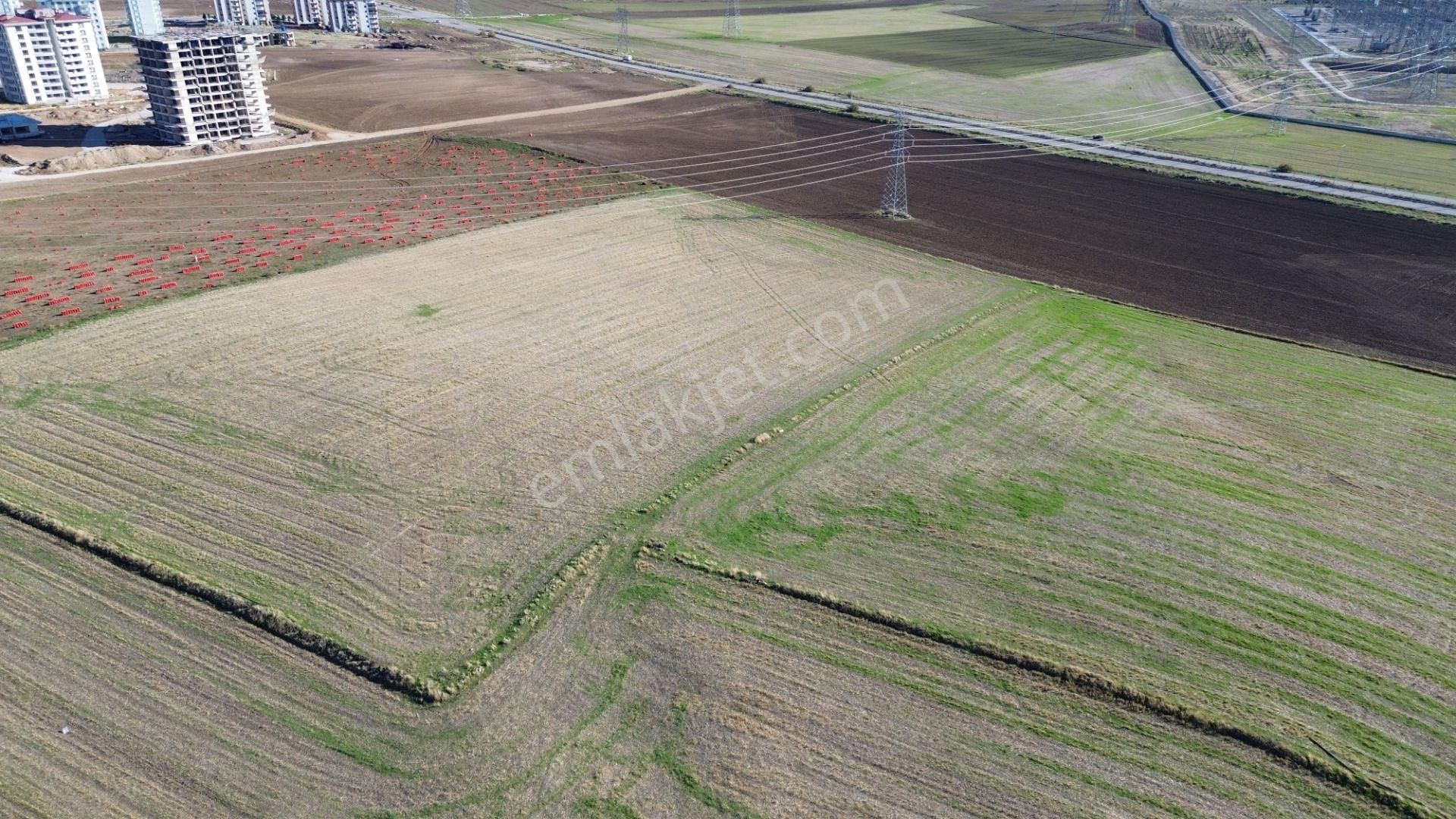 Satılık İmarlı Arsa Alcı Bulvarı 2 Parsel Üstü - Görsel 4
