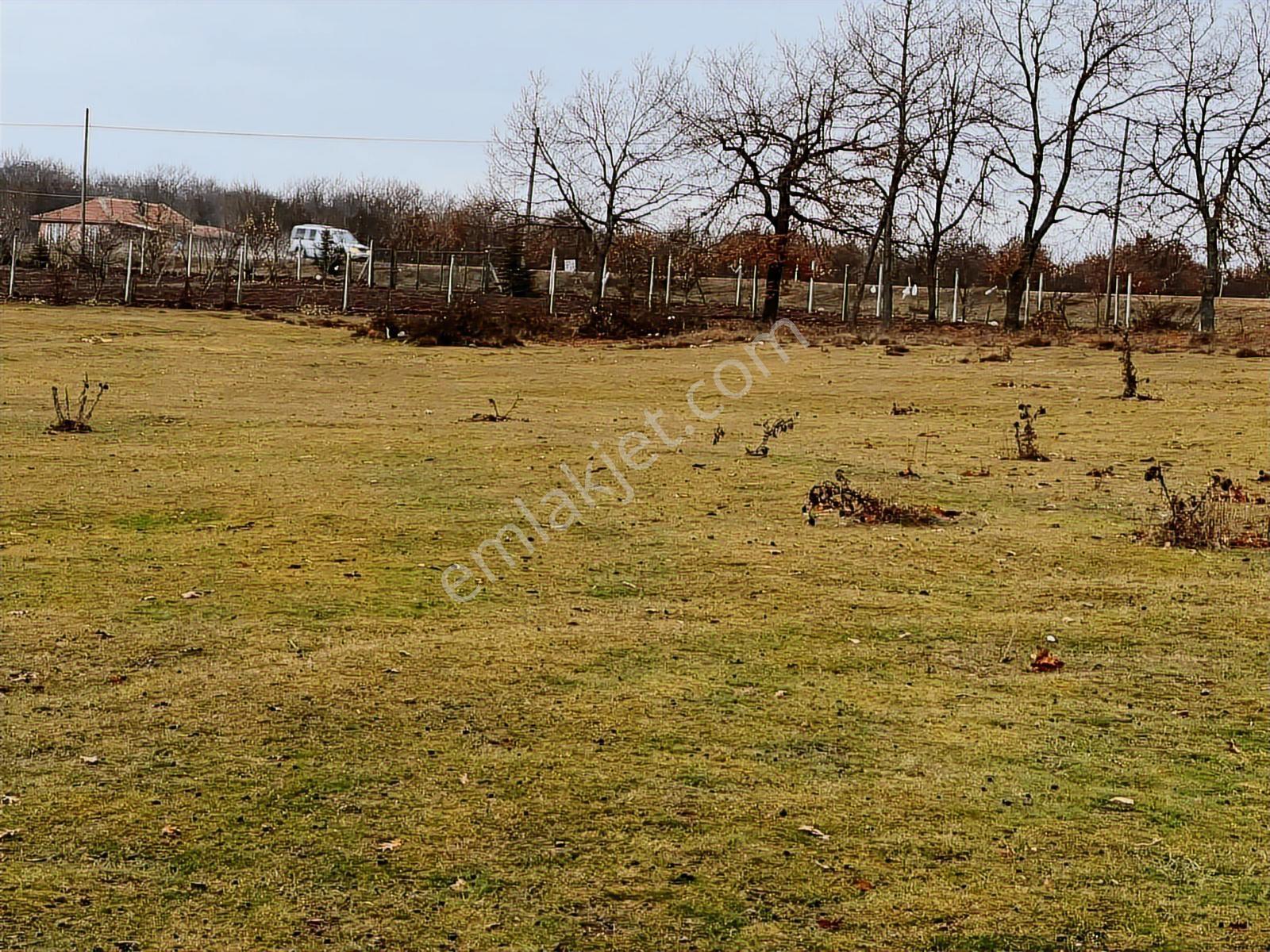 Başkan Emlaktan Satılık Yarımca Köyünde 1.540 M2 Arsa. - Görsel 14