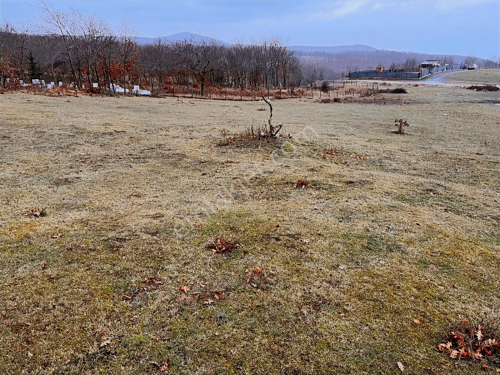 Başkan Emlaktan Satılık Yarımca Köyünde 1.540 M2 Arsa. - Görsel 24