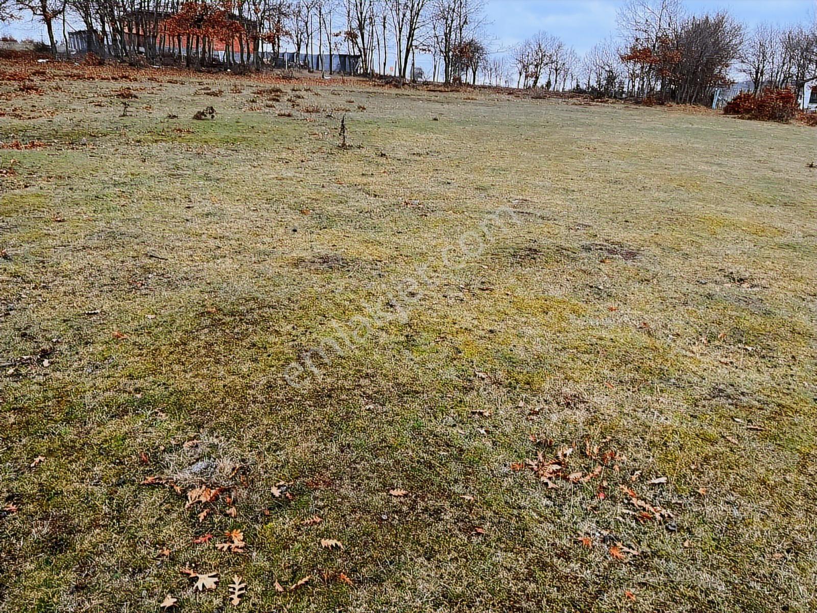 Başkan Emlaktan Satılık Yarımca Köyünde 1.540 M2 Arsa. - Görsel 30