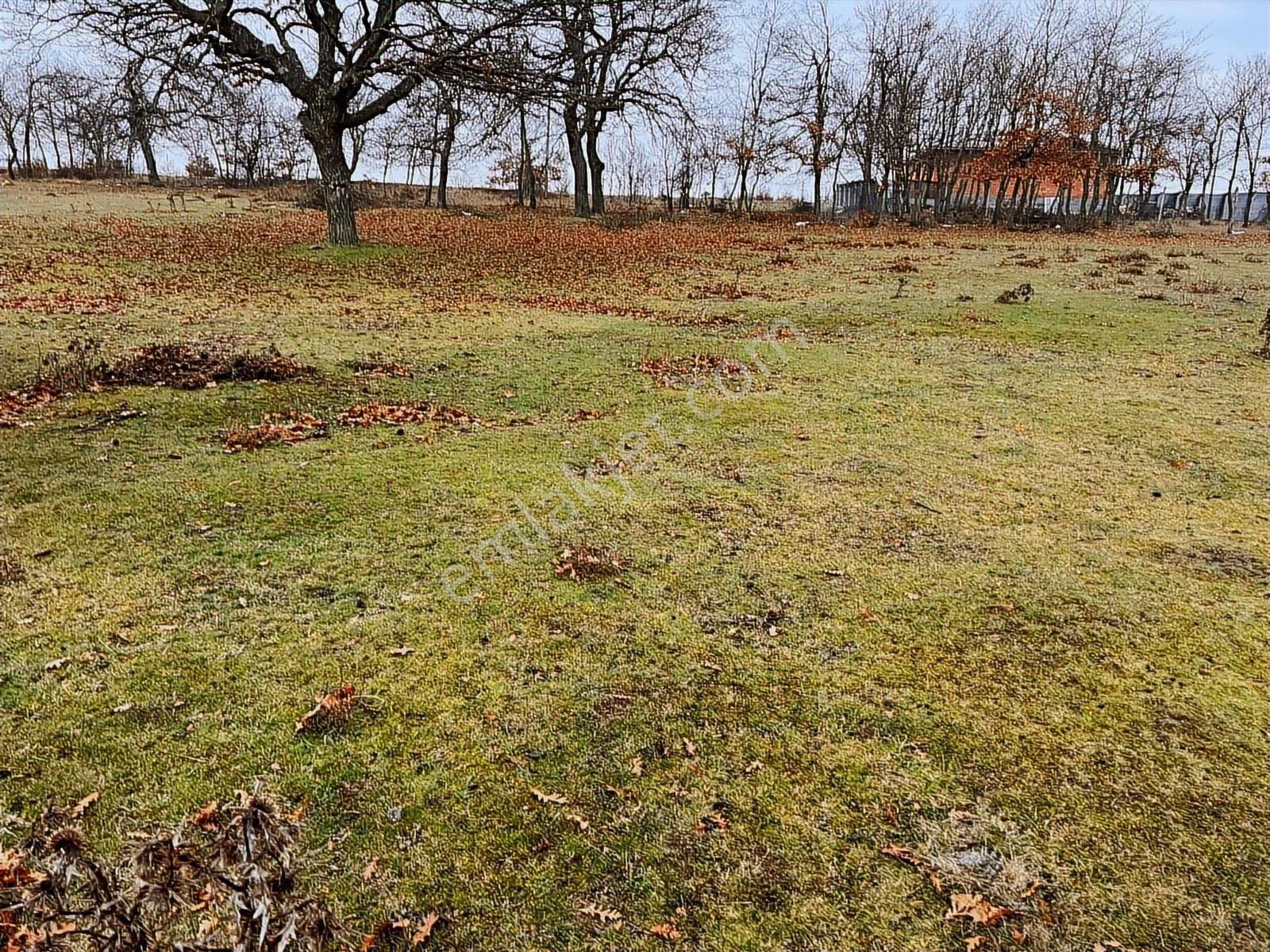 Başkan Emlaktan Satılık Yarımca Köyünde 1.540 M2 Arsa. - Görsel 12