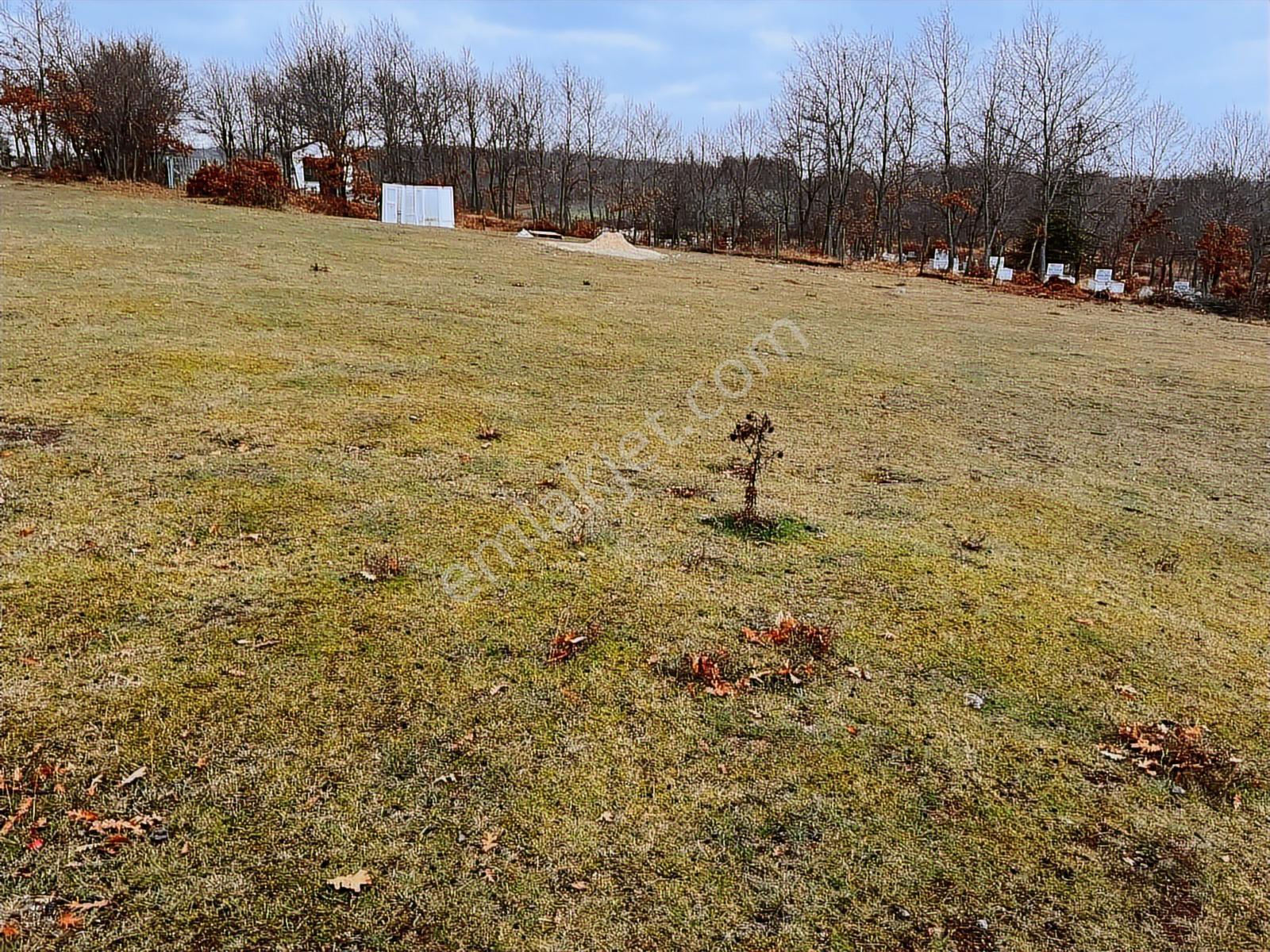 Başkan Emlaktan Satılık Yarımca Köyünde 1.540 M2 Arsa. - Görsel 16