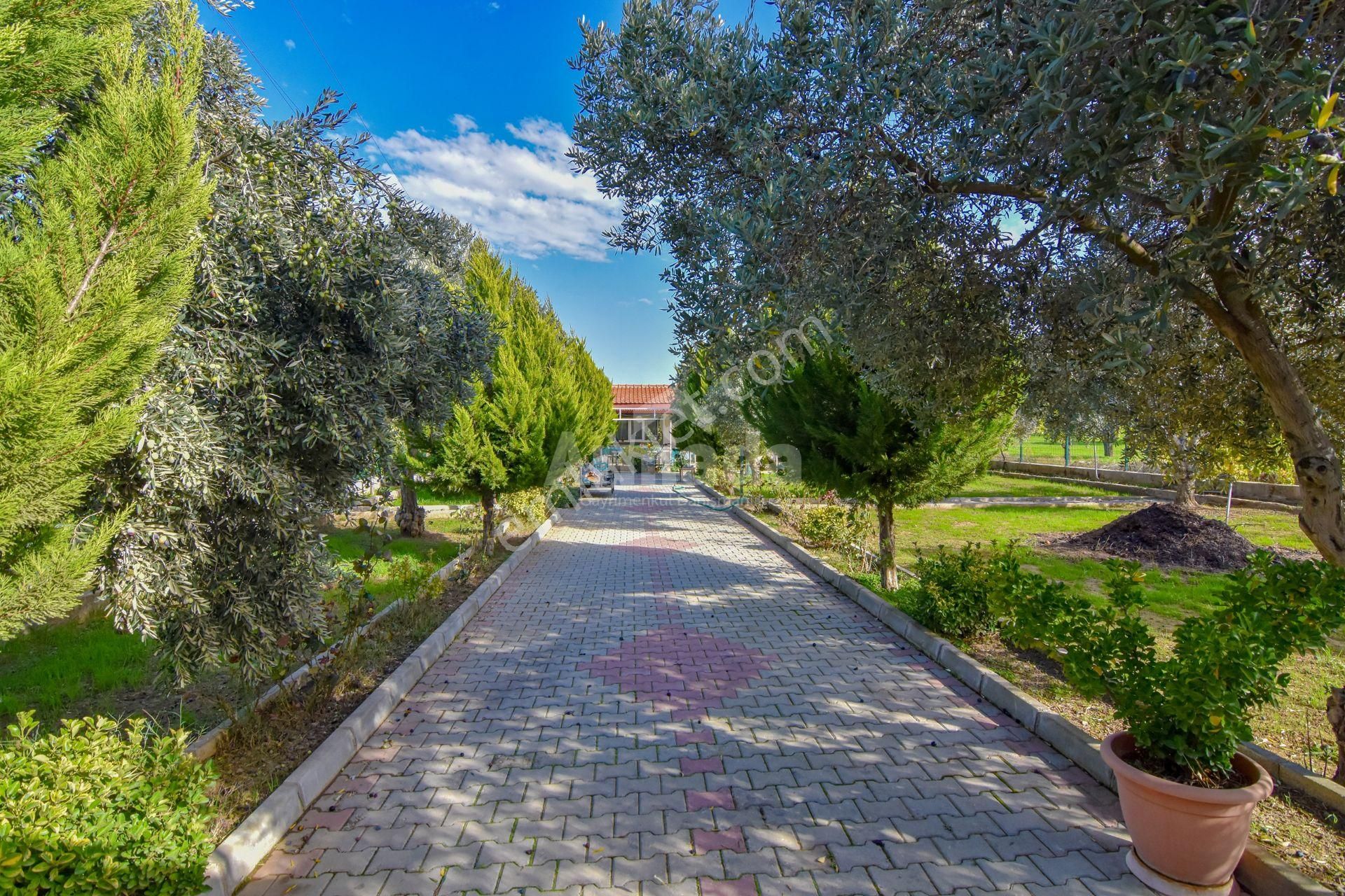 Gökçealan'da Doğayla İç İçe Yaşam Sağlayan 2+1 Çiftlik Evi - Görsel 33