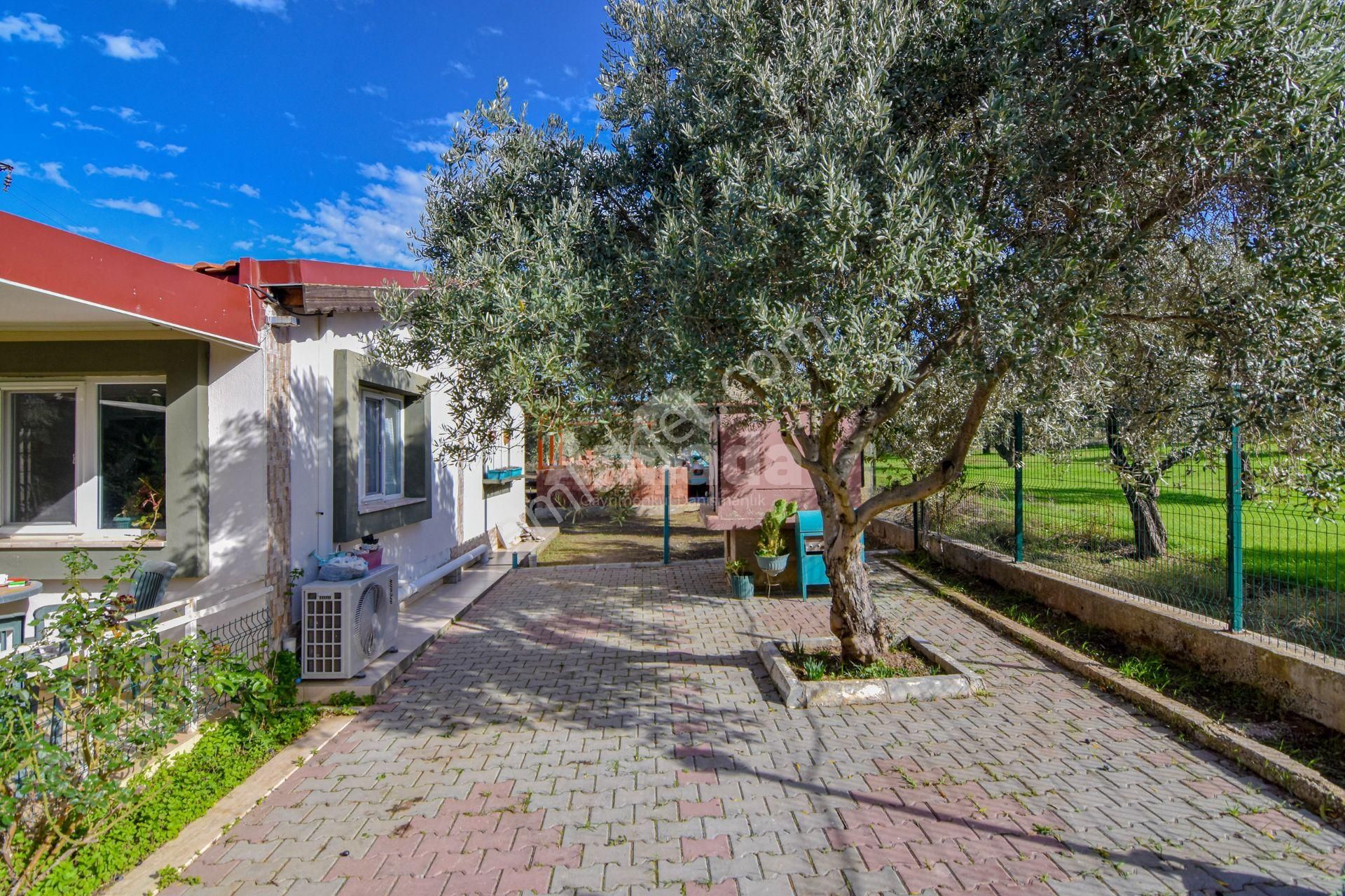 Gökçealan'da Doğayla İç İçe Yaşam Sağlayan 2+1 Çiftlik Evi - Görsel 23