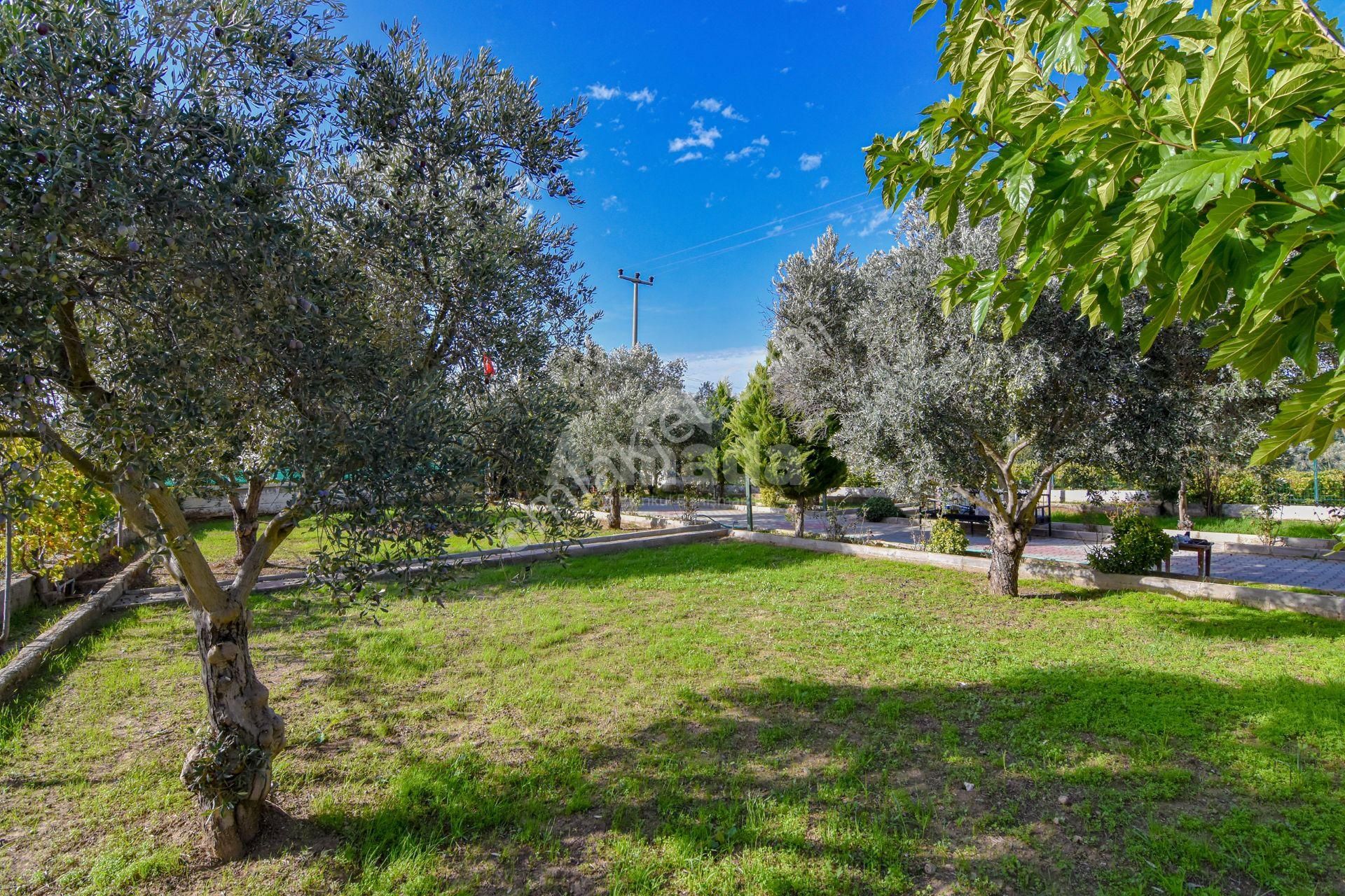 Gökçealan'da Doğayla İç İçe Yaşam Sağlayan 2+1 Çiftlik Evi - Görsel 22