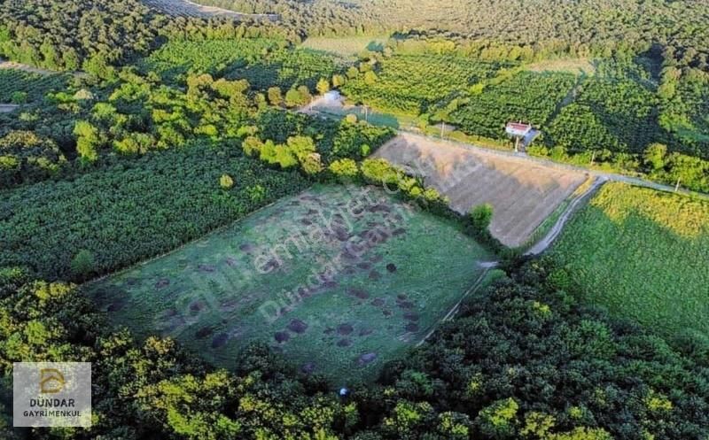 Dündar Gayrimenkul'den Servetiye Mahallesi Yol Üzerinde Arsa - Görsel 3
