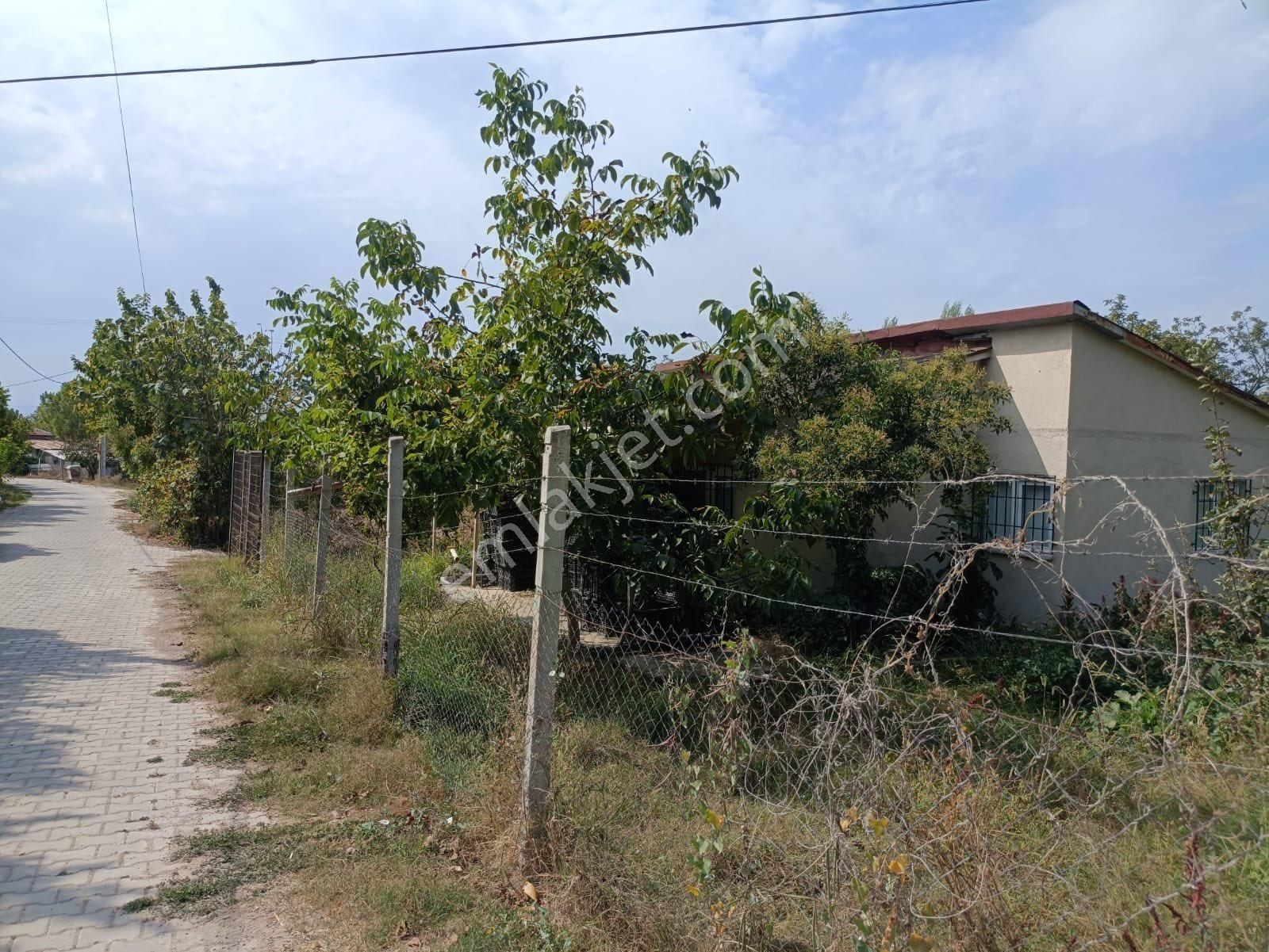 Bursa İznik Elbeylide Müstakil Ev - Görsel 4