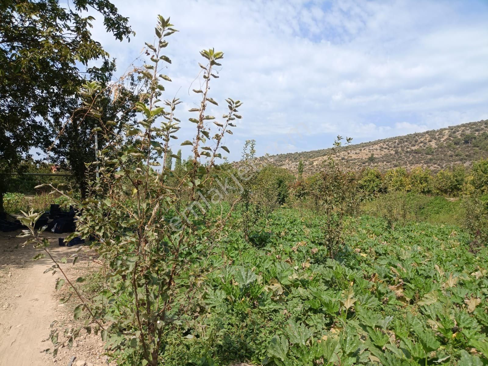 Bursa İznik Elbeylide Müstakil Ev - Görsel 5