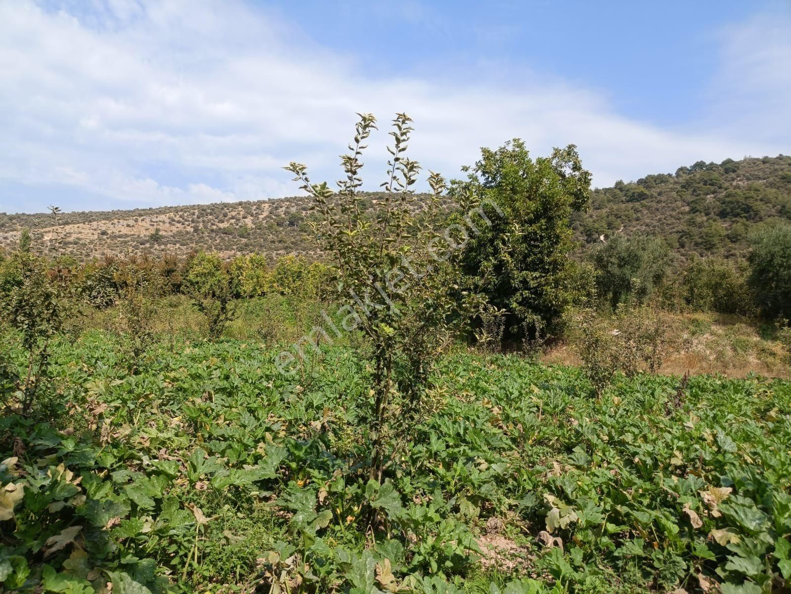 Bursa İznik Elbeylide Müstakil Ev - Görsel 6