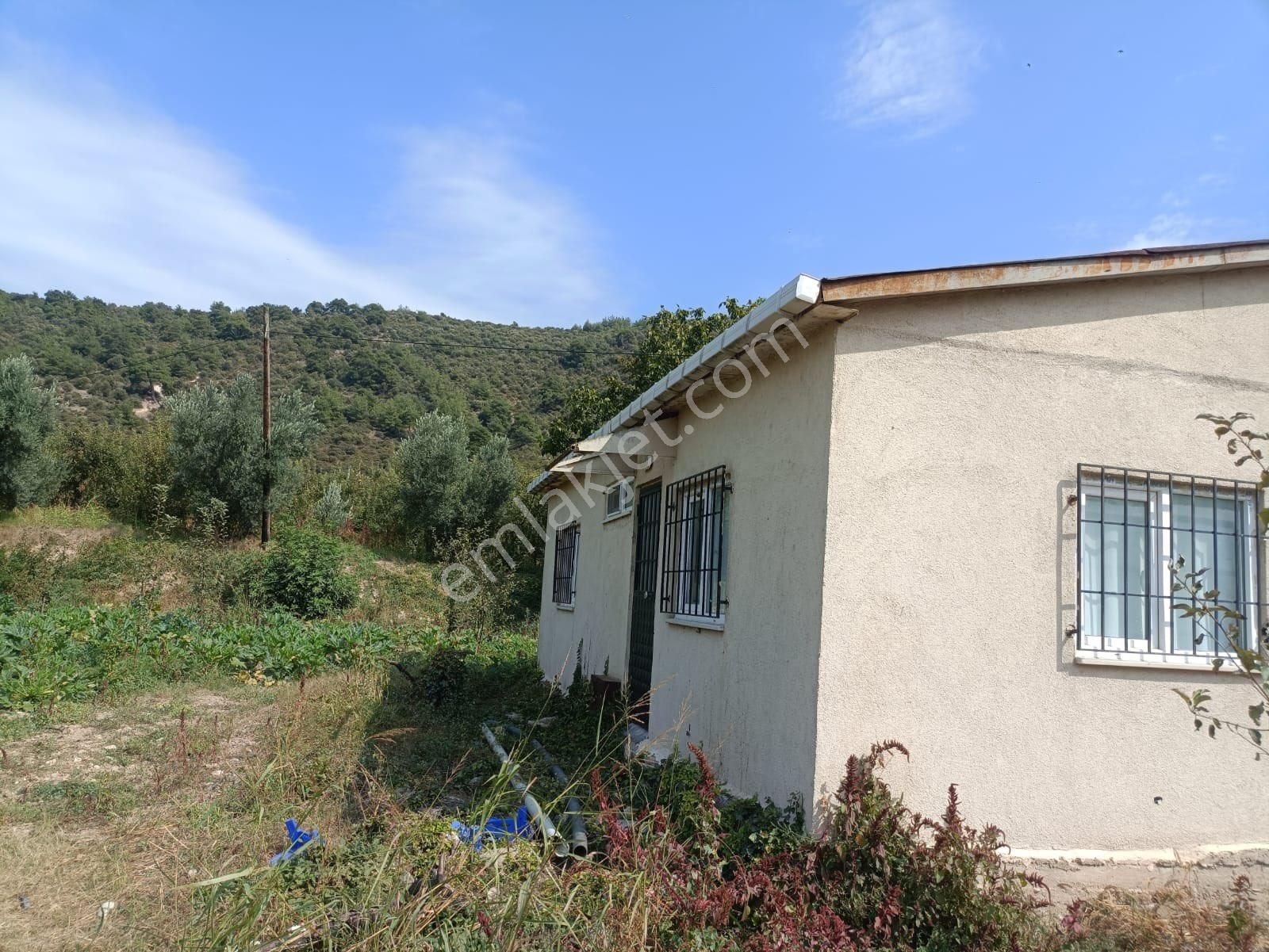 Bursa İznik Elbeylide Müstakil Ev - Görsel 2