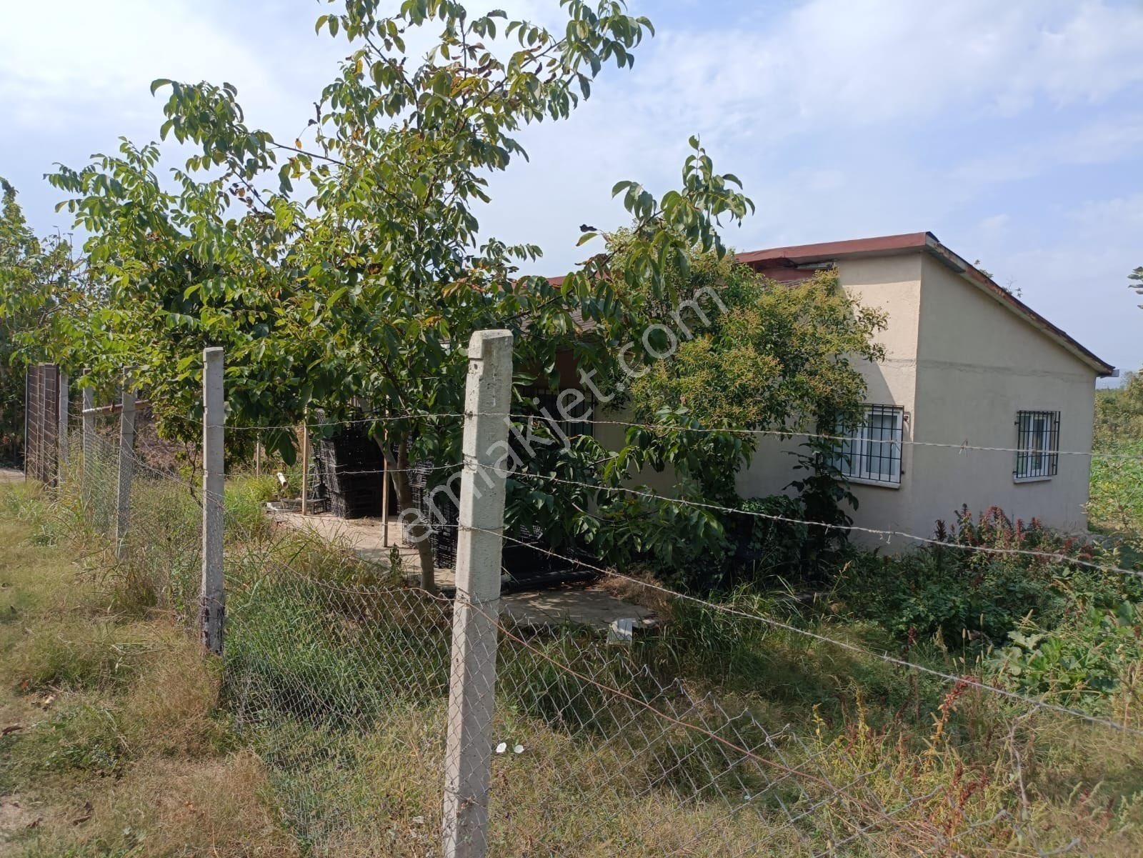 Bursa İznik Elbeylide Müstakil Ev - Görsel 16