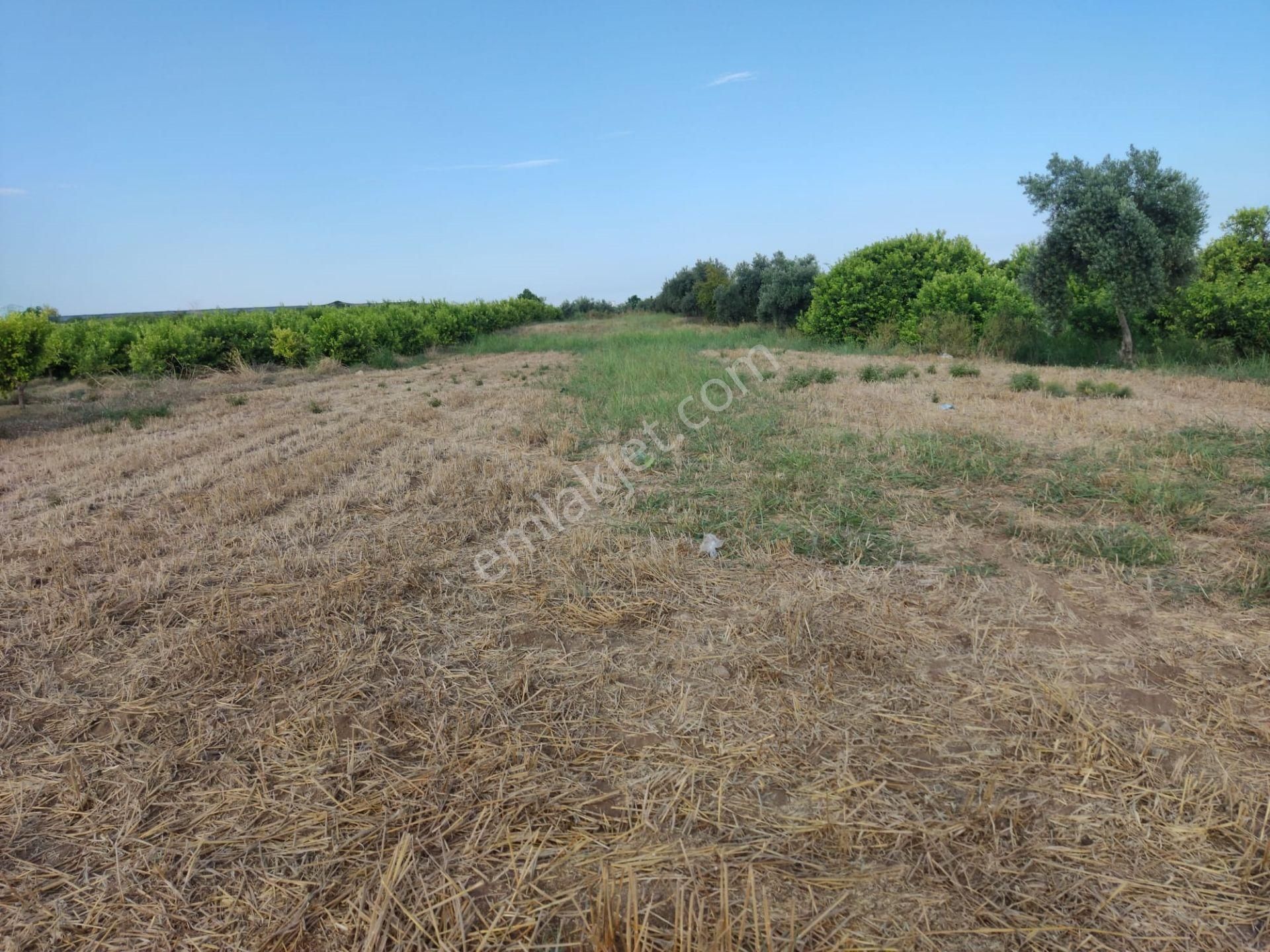 Aslandan Elvanlı Merkezinde 2.500 M2 Cazip Fiyatlı Satılık Tarla - Görsel 3