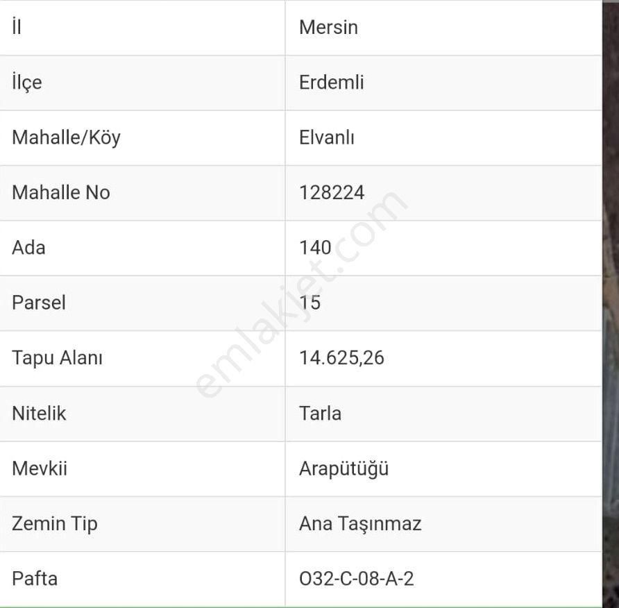 Aslandan Elvanlı Merkezinde 2.500 M2 Cazip Fiyatlı Satılık Tarla - Görsel 5