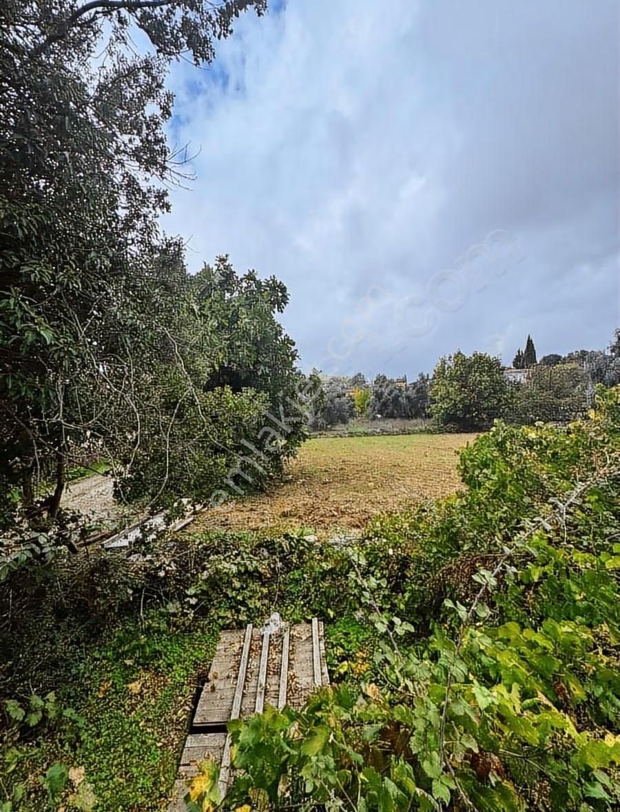 Muğla Menteşe Denizova'sında Satılık Köyiçi İmarlı Arsa - Görsel 6