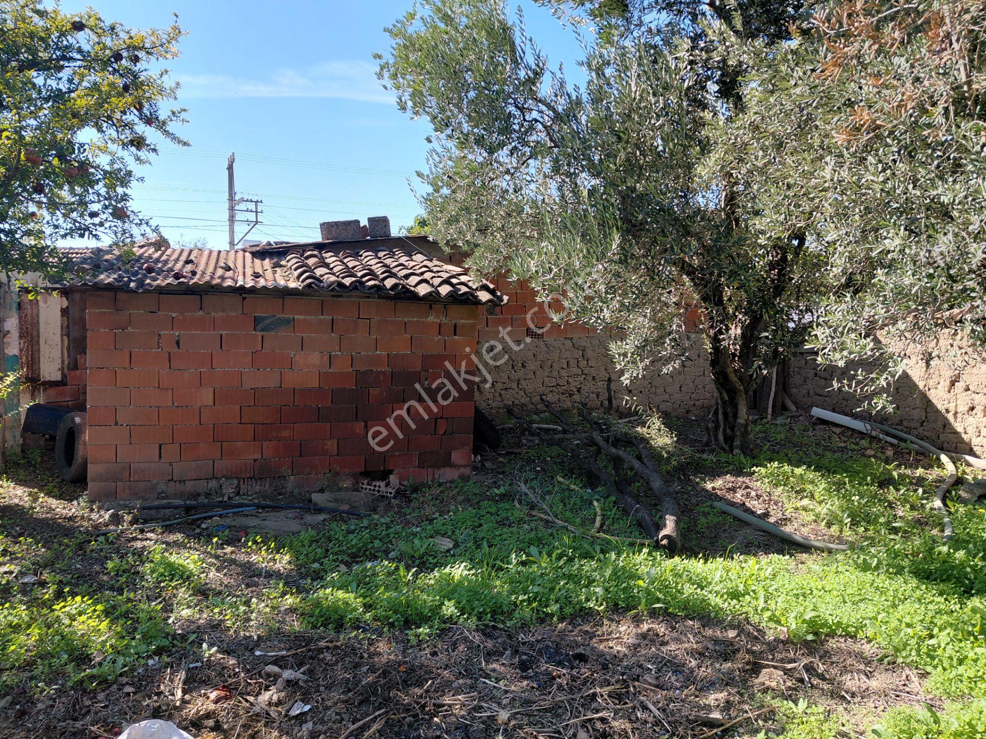 Saruhanlı Paşaköy De Satılık 385 M2 İmarlı Arsa 1.420.000 Tl - Görsel 8