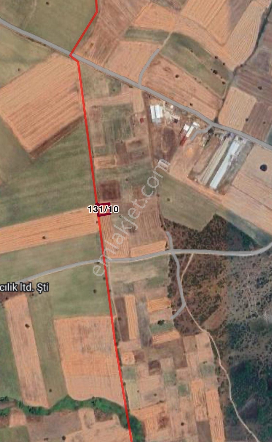 Çanakkale Biga Göktepe’de Satılık Bağ - Görsel 3