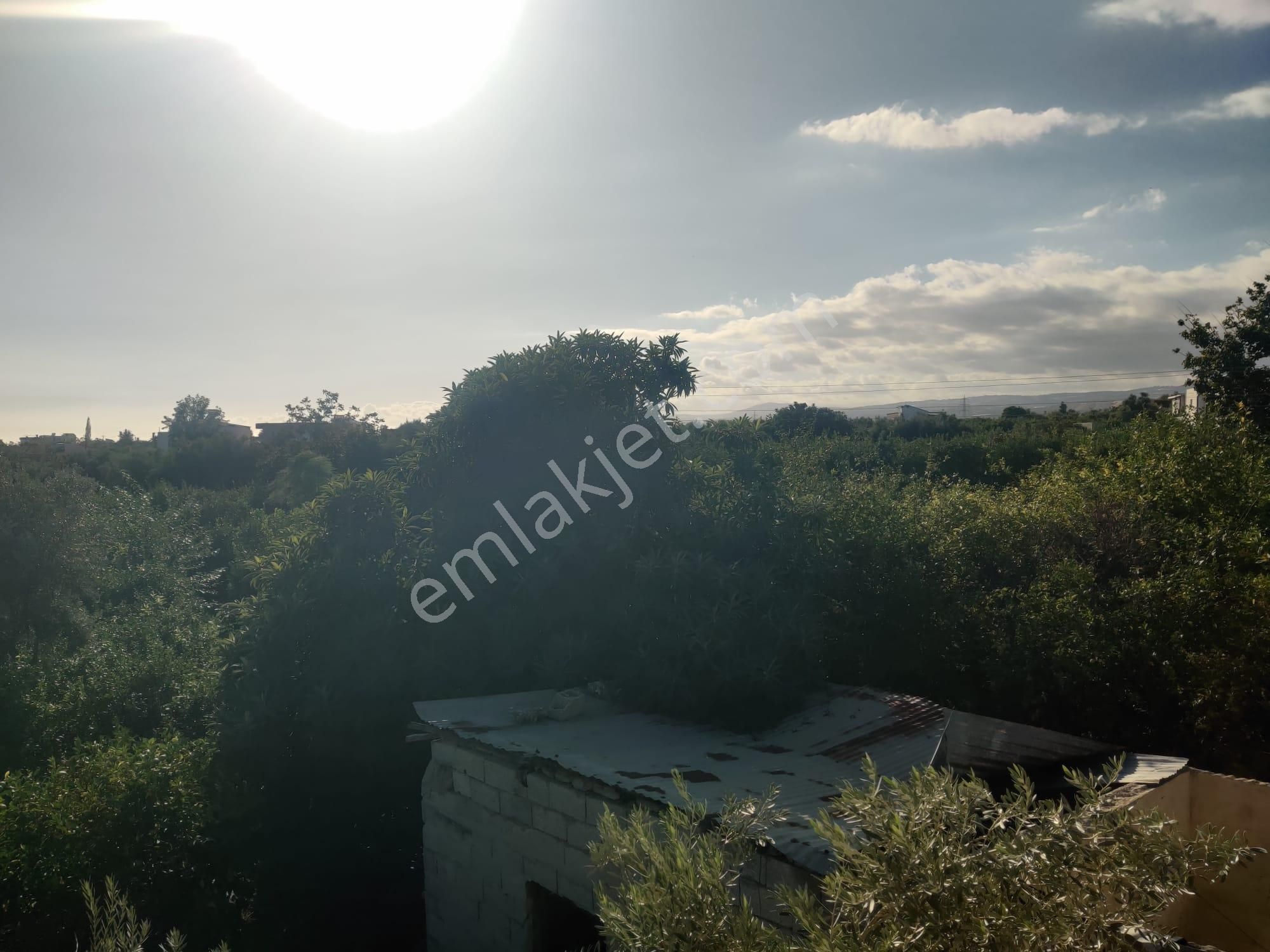 Mersin Erdemli Kargıcak 4.869 M2 Arsa Ve İçinde 2+1 Müstakil Daire - Görsel 3