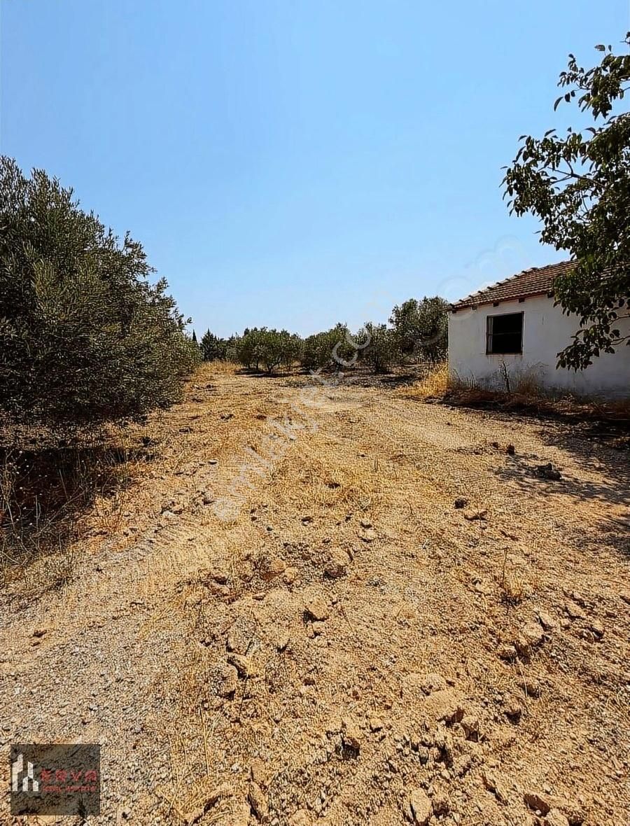 Urla Cami Atik Kuşçular'da Merkezi Konum Müstakil Ev