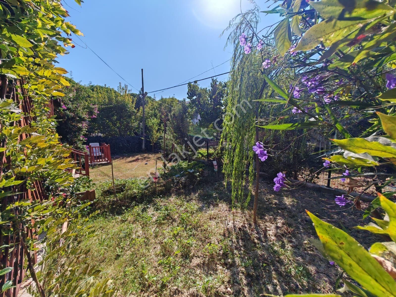 Kuşadası Yavansuda Plaja Çok Yakın Özel Havuzlu Geniş Bahçeli Satılık Villa - Görsel 27