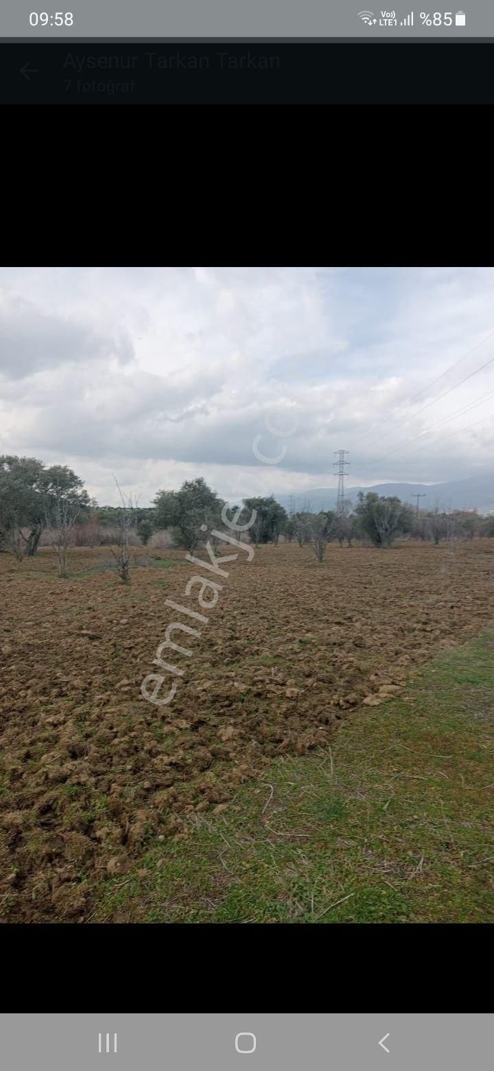 Satılık Tarla Kemalpaşa Yukarı Kizilca Köyünde - Görsel 4