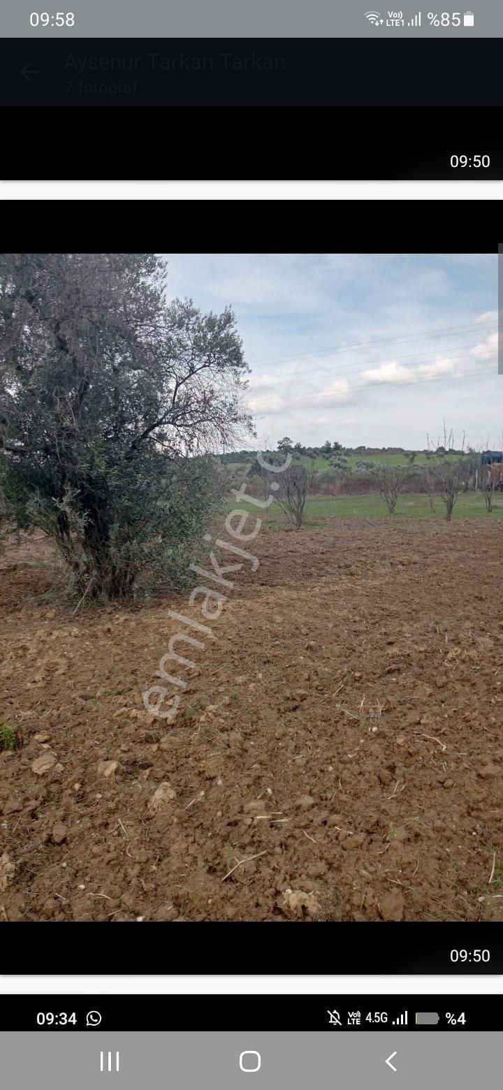 Satılık Tarla Kemalpaşa Yukarı Kizilca Köyünde - Görsel 6