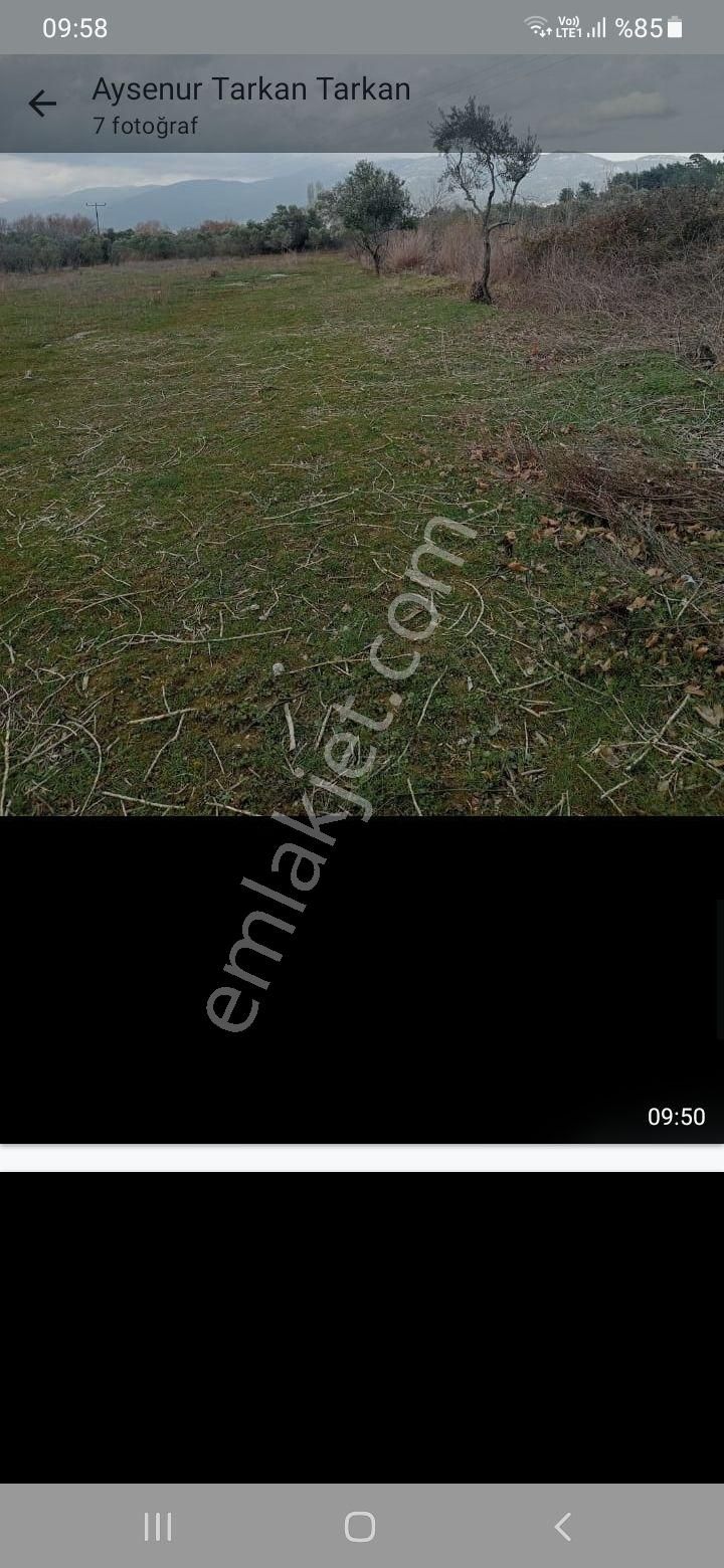 Satılık Tarla Kemalpaşa Yukarı Kizilca Köyünde - Görsel 3