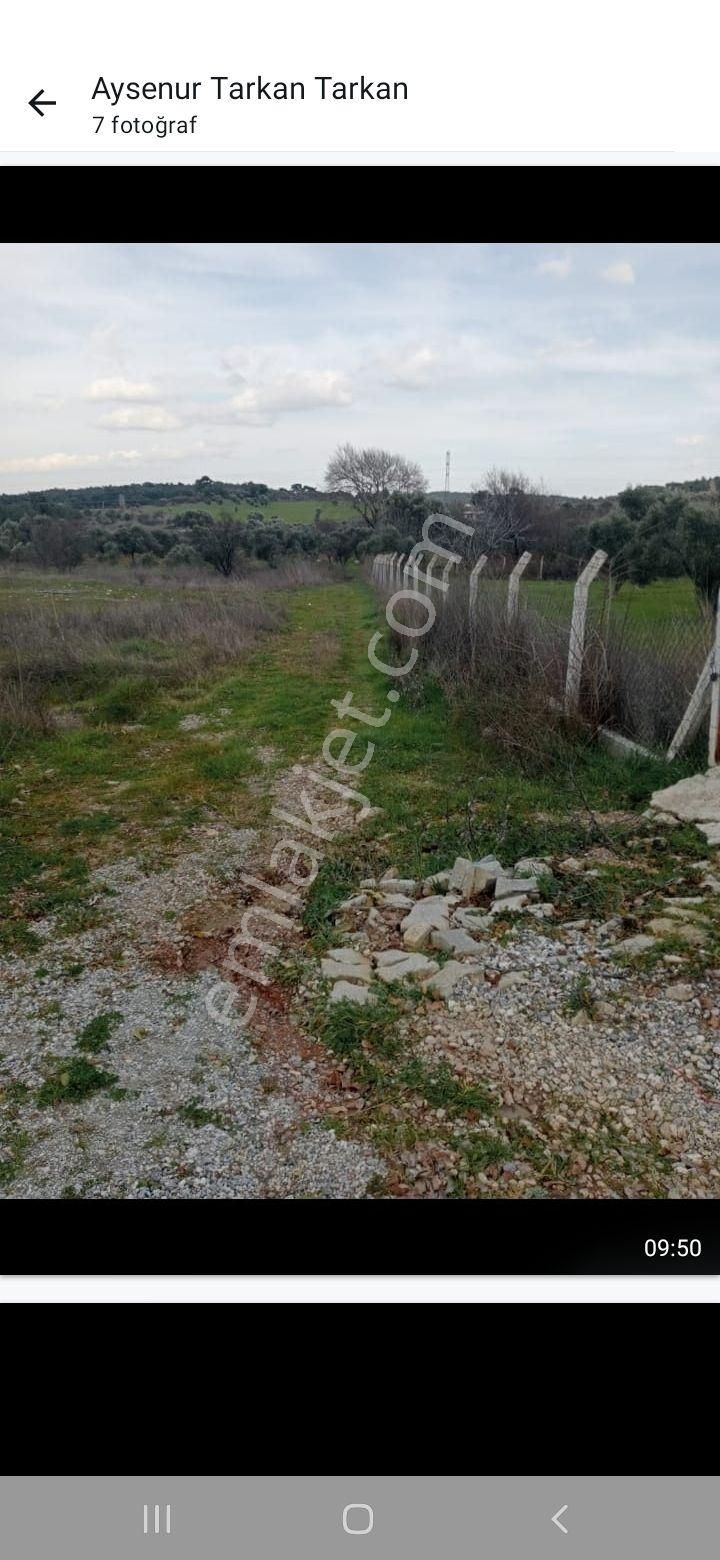 Satılık Tarla Kemalpaşa Yukarı Kizilca Köyünde - Görsel 12