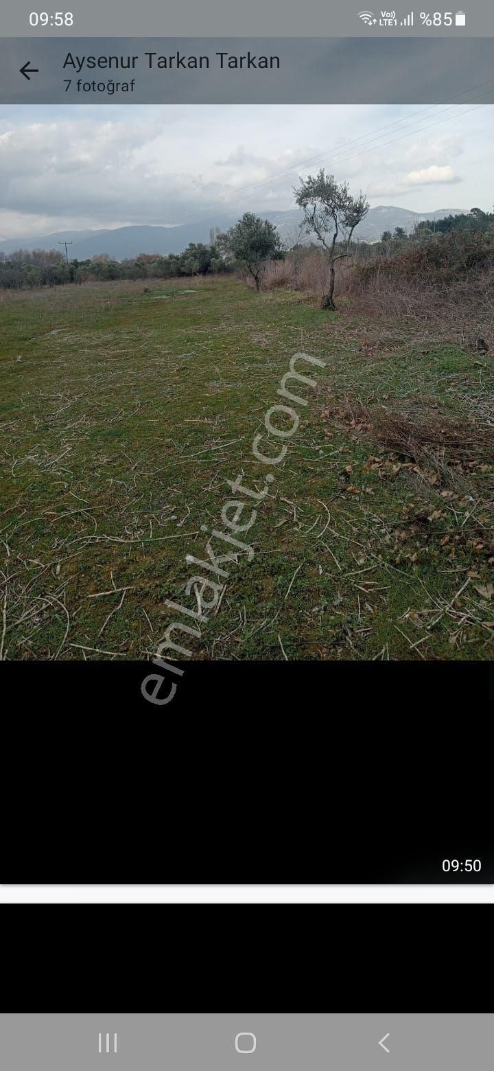 Satılık Tarla Kemalpaşa Yukarı Kizilca Köyünde - Görsel 9