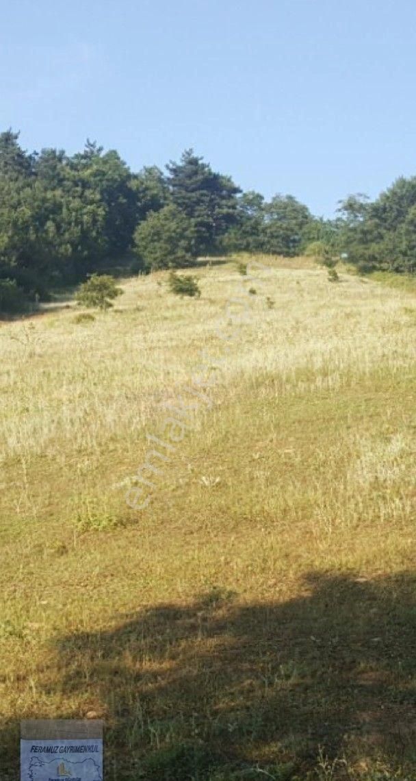 Bursa/kestel-ümitalan Mah.de Satılık Müstakil Tapulu ( 5.170 ) M2 Fırsat Arazi. - Görsel 3