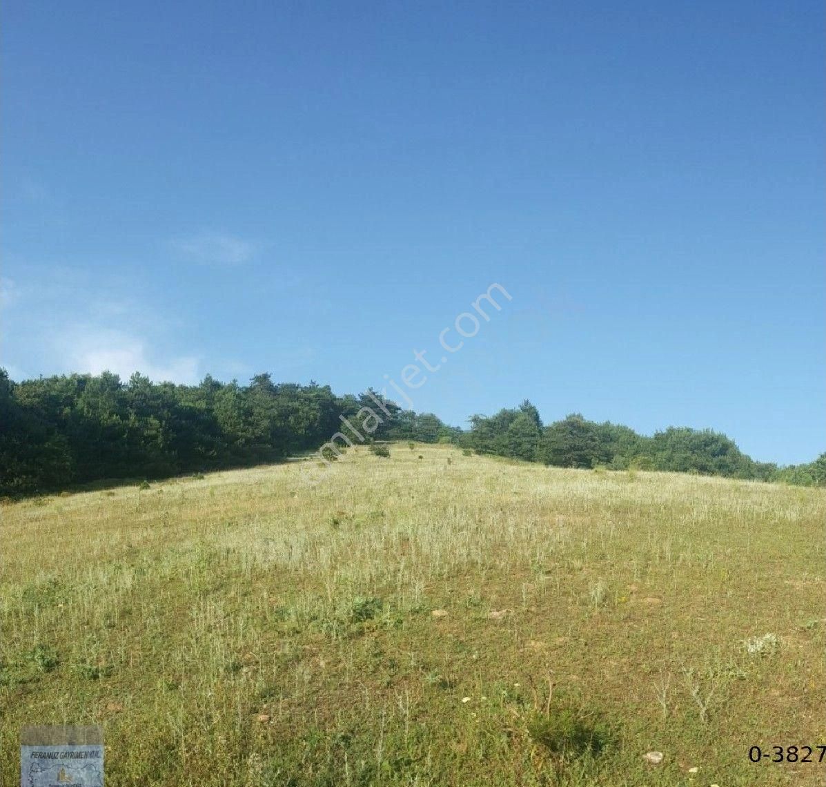 Bursa/kestel-ümitalan Mah.de Satılık Müstakil Tapulu ( 5.170 ) M2 Fırsat Arazi.