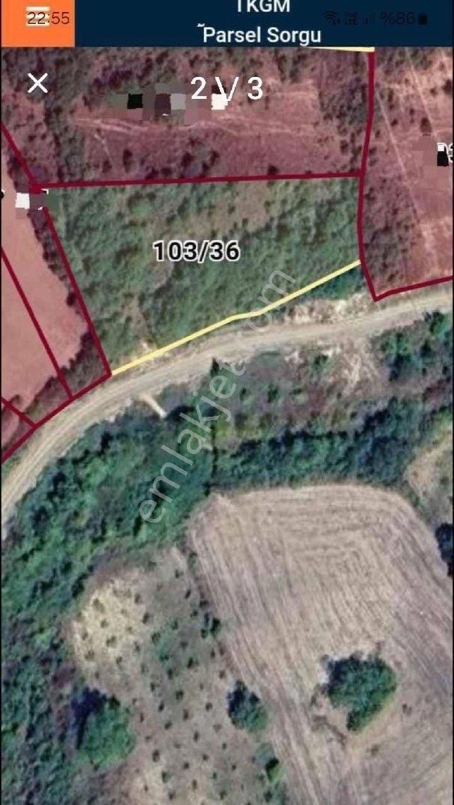 Bursa/inegöl-süle Köyünde Satılık (4.000 M2) Müstakil Tapulu Fırsat Hobi Bahçesi. - Görsel 3