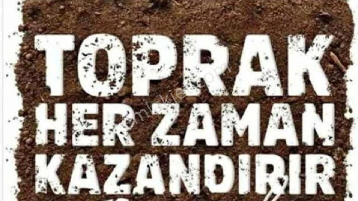 Bursa/inegöl-süle Köyünde Satılık (4.000 M2) Müstakil Tapulu Fırsat Hobi Bahçesi. - Görsel 4