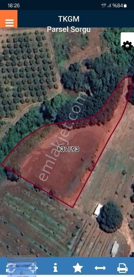 Bursa/kestel-kayacık Mah.de Satılık Müstakil Tapulu (2.784)m2 Hobi Bahçesi.