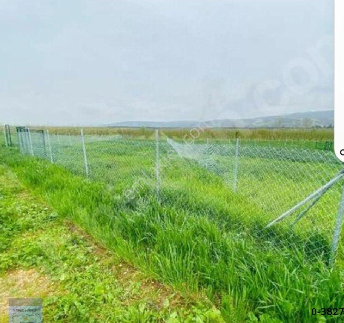 Bursa/yenişehir-marmaracıkgöl De Satılık (tapulu) (180) M2 Hobi Bahçesi, Yenişehir Anaasfaltına Yakı - Görsel 6