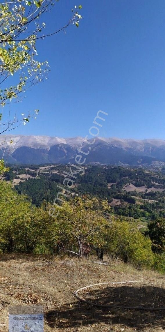 Bursa/osmangazi-küçükdeliler Mah.de Satılık Müstakil Tapulu ( 4.660 ) M2 Yolu Suyu Olan Meyve Bahçes - Görsel 11