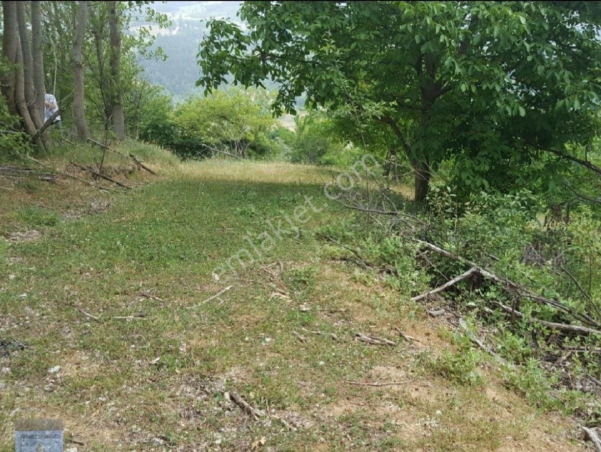 Bursa/osmangazi-küçükdeliler Mah.de Satılık Müstakil Tapulu ( 4.660 ) M2 Yolu Suyu Olan Meyve Bahçes - Görsel 10