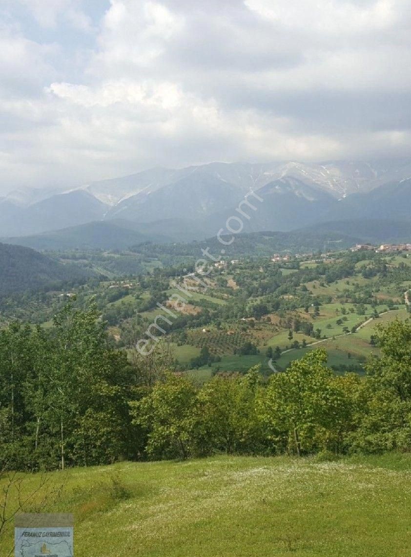 Bursa/osmangazi-küçükdeliler Mah.de Satılık Müstakil Tapulu ( 4.660 ) M2 Yolu Suyu Olan Meyve Bahçes - Görsel 6