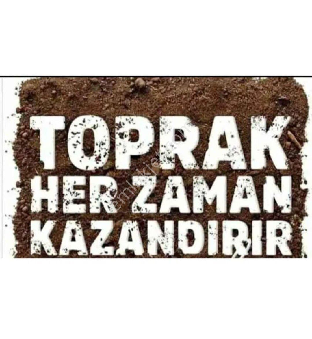 Bursa/keles-denizler Köyünde Satılık (2.759) M2. Müstakil Tapulu Hobi Bahçesi - Görsel 23