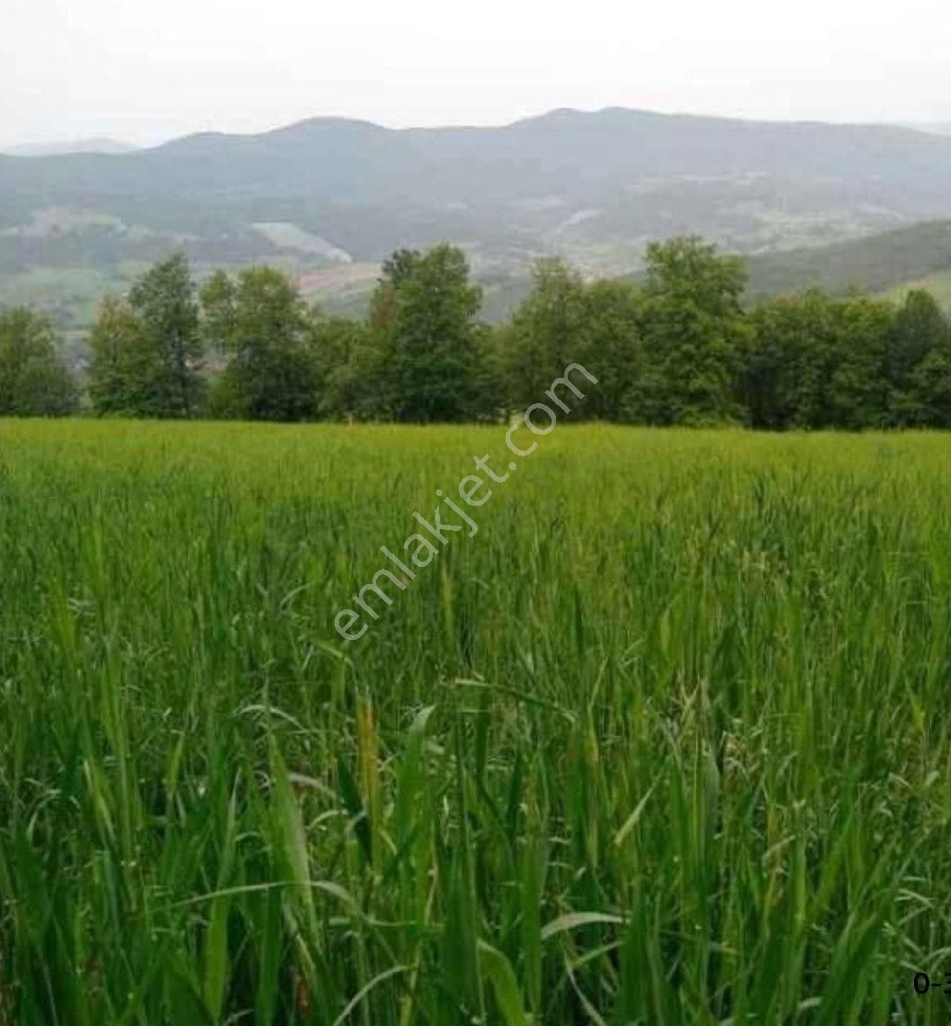 Bursa/kestel-erdoğan Köyde Satılık ( 6.486 M2 ) Müstakil Tapulu Tarla .