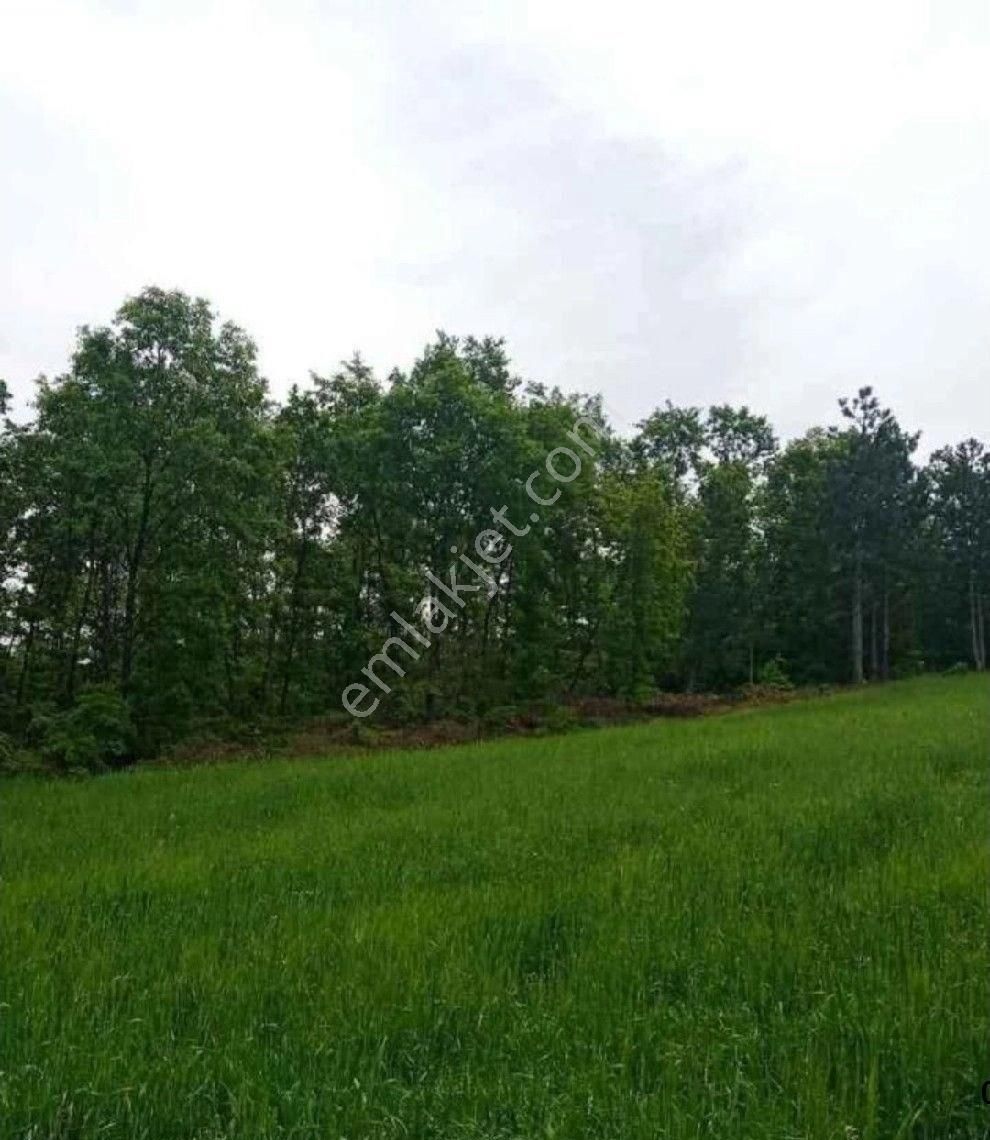 Bursa/kestel-erdoğan Köyde Satılık ( 6.486 M2 ) Müstakil Tapulu Tarla . - Görsel 5