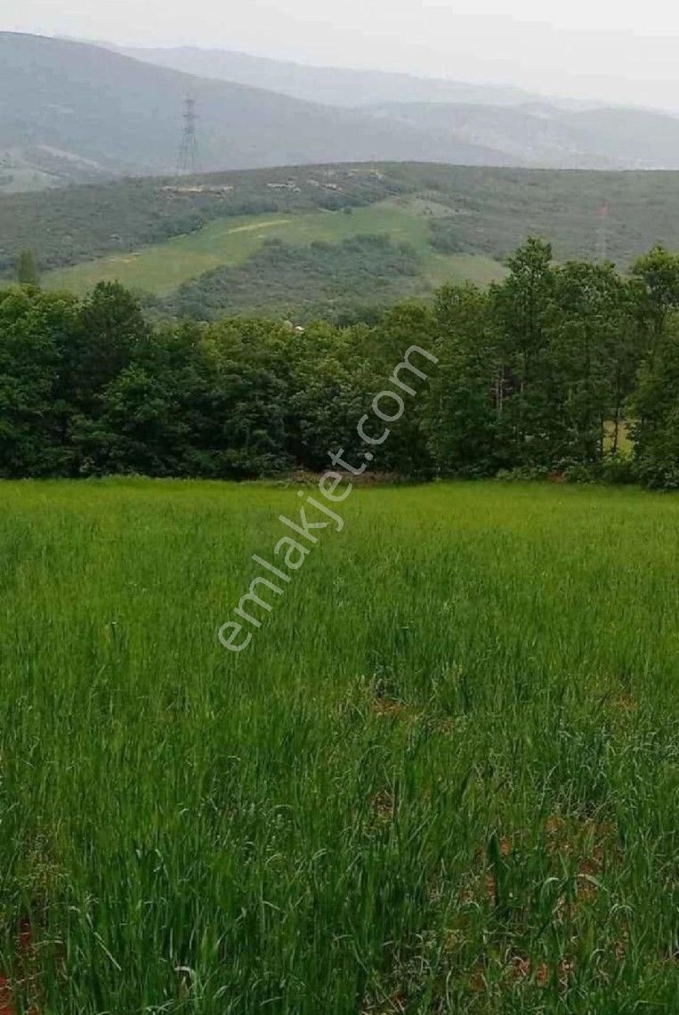 Bursa/kestel-erdoğan Köyde Satılık ( 6.486 M2 ) Müstakil Tapulu Tarla . - Görsel 6