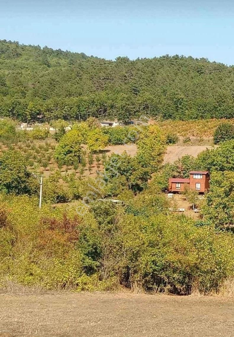 Bursa/yıldırım-ümitalan Köyünde ( 5.o34 M2 ) Müstakil Tapulu Tarla.