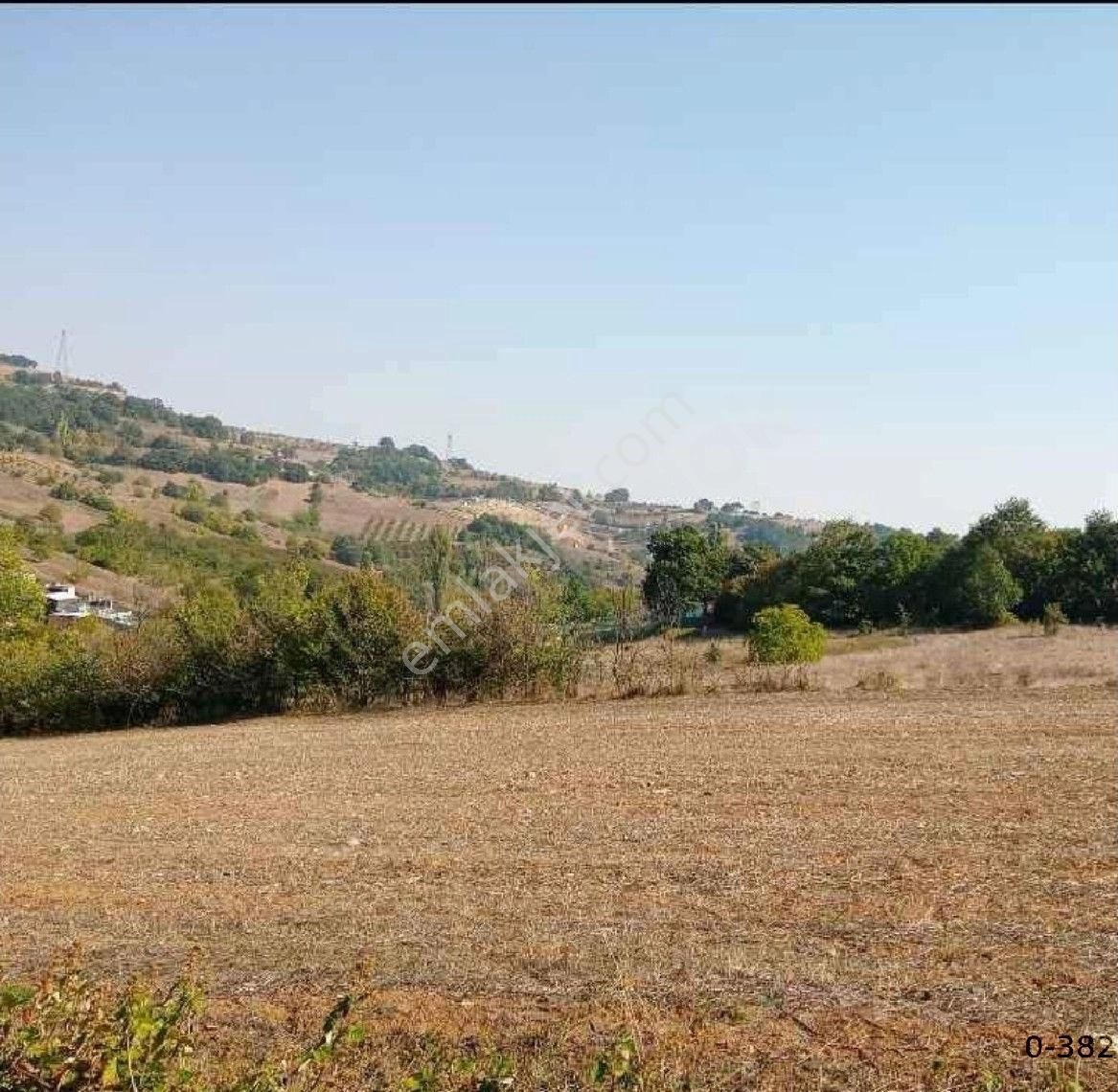 Bursa/yıldırım-ümitalan Köyünde ( 5.o34 M2 ) Müstakil Tapulu Tarla. - Görsel 6