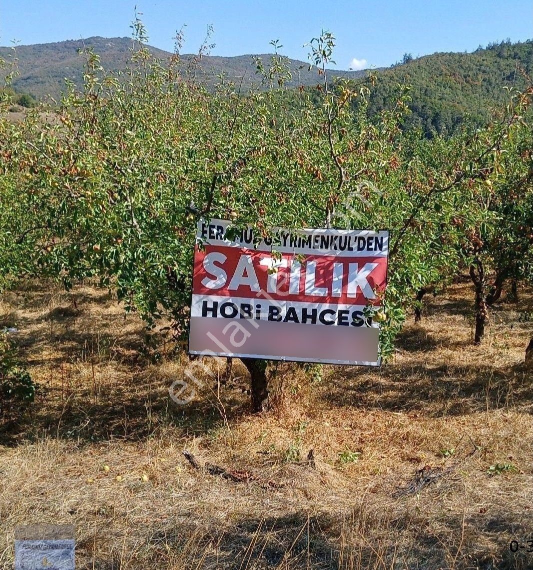 Bursa/kestel-gölcük Mah.de Satılık (1.986)m2. İmar Dibi Anayola Cephe Meyve Bahçesi. - Görsel 4