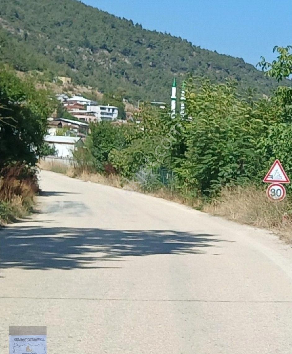 Bursa/kestel-gölcük Mah.de Satılık (1.986)m2. İmar Dibi Anayola Cephe Meyve Bahçesi. - Görsel 3