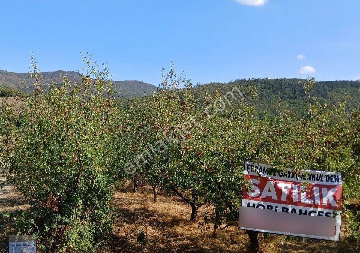 Bursa/kestel-gölcük Mah.de Satılık (1.986)m2. İmar Dibi Anayola Cephe Meyve Bahçesi. - Görsel 11