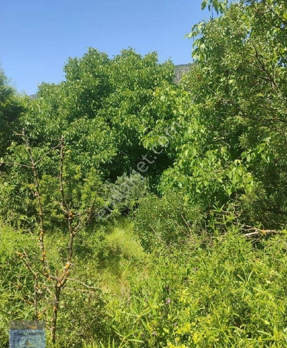 Bursa/keles-ıssızören Köyünde Satılık Köyiçi (imarlı) (438) M2. (arsa). - Görsel 8